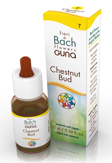 CHESTNUT BUD GOCCE 10 ML - UniversoFarmacie.it