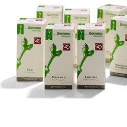 AGNOCASTO MACERATO GLICERICO 200 ML - UniversoFarmacie.it