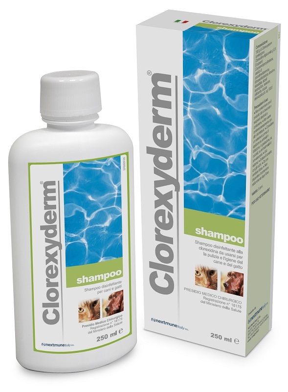 CLOREXYDERM SHAMPOO 250 ML - UniversoFarmacie.it