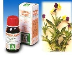 VIOLA DEL PENSIERO 32 50ML TM - UniversoFarmacie.it