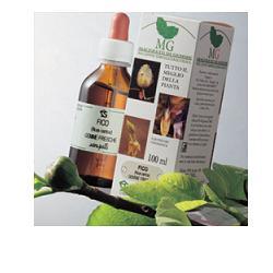 ROSA CANINA MACERATO GLICERICO 100 ML - UniversoFarmacie.it