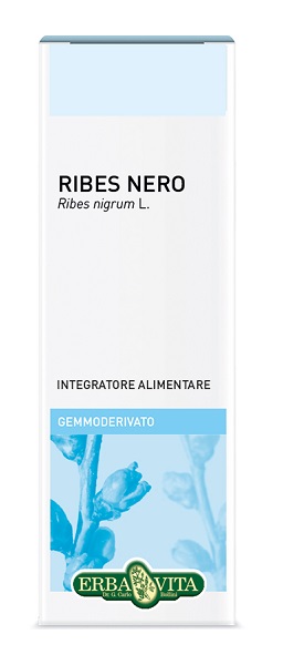 GEMMODERIVATO RIBES NERO 50 ML - UniversoFarmacie.it