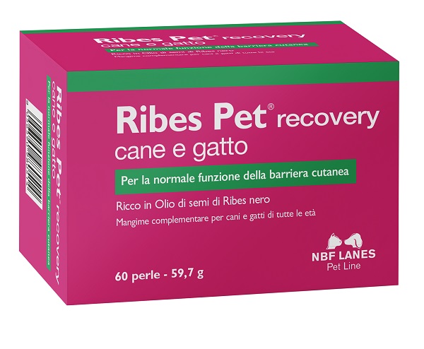 RIBES PET RECOVERY BLISTER 60 PERLE - UniversoFarmacie.it