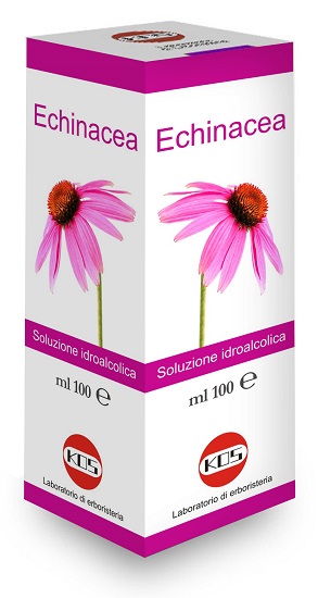 ECHINACEA SOLUZIONE IDROALCOLICA PIANTA FRESCA 100 ML - UniversoFarmacie.it