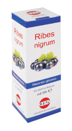 RIBES NIGRUM MACERATO GLICERICO 100 ML GOCCE - UniversoFarmacie.it