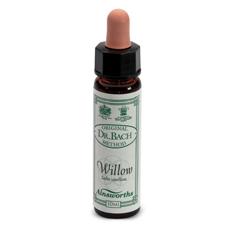 AINSWORTHS WILLOW 10ML - UniversoFarmacie.it
