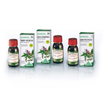 GEMMOSOL 46 TIGLIO ARGEN 50ML - UniversoFarmacie.it