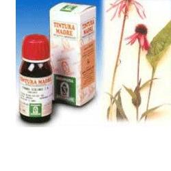 ECHINACEA 59 50ML TM - UniversoFarmacie.it