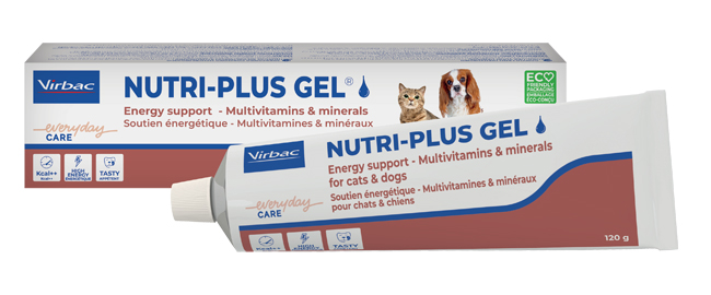 NUTRIPLUS GEL PASTA ORALE 120 G - UniversoFarmacie.it