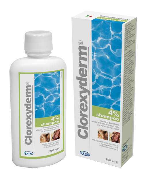 CLOREXYDERM SHAMPOO 4% 250 ML - UniversoFarmacie.it