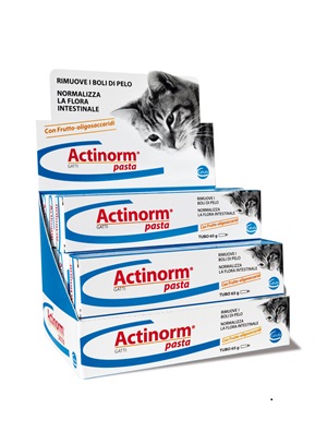 ACTINORM PASTA GATTI 65 G - UniversoFarmacie.it