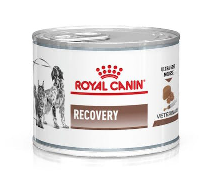 VETERINARY DIET WET DOG & CAT RECOVERY 195 G - UniversoFarmacie.it