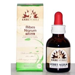 FITOBLASTO RIBES NIGRUM 50 ML - UniversoFarmacie.it