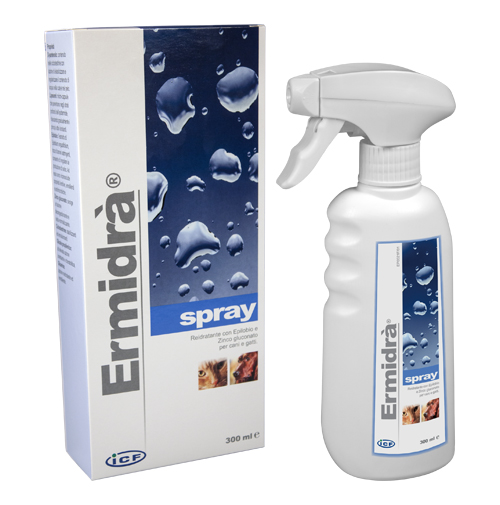 ERMIDRA' SPRAY 300 ML - UniversoFarmacie.it
