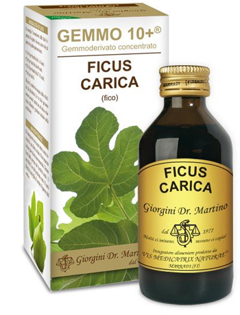 GEMMO 10+ FICO LIQUIDO ANALCOLICO 100 ML - UniversoFarmacie.it