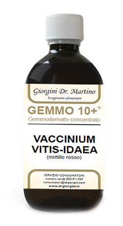 GEMMO 10+ MIRTILLO ROSSO LIQUIDO ANALCOLICO 500 ML - UniversoFarmacie.it