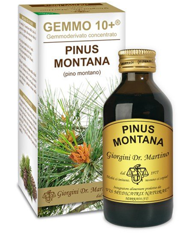 GEMMO 10+ PINO MONTANO 100 ML LIQUIDO ANALCOLICO - UniversoFarmacie.it