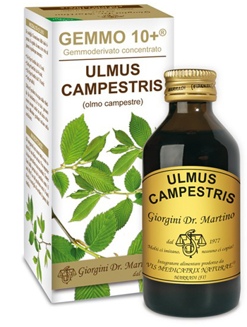 GEMMO 10+ OLMO CAMPESTRE 100 ML LIQUIDO ANALCOLICO - UniversoFarmacie.it