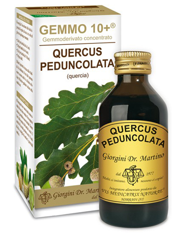 GEMMO 10+ QUERCIA 100 ML LIQUIDO ANALCOLICO - UniversoFarmacie.it