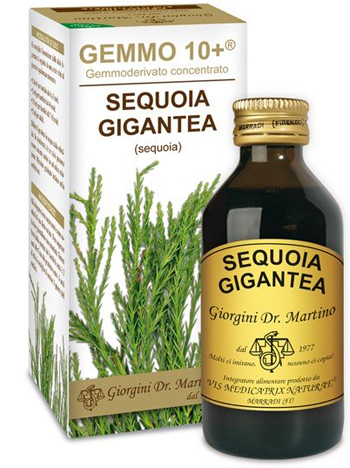 GEMMO 10+ SEQUOIA 100 ML LIQUIDO ANALCOLICO - UniversoFarmacie.it