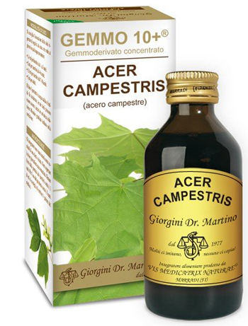 GEMMO 10+ ACERO CAMPESTRE 100 ML LIQUIDO ANALCOLICO - UniversoFarmacie.it