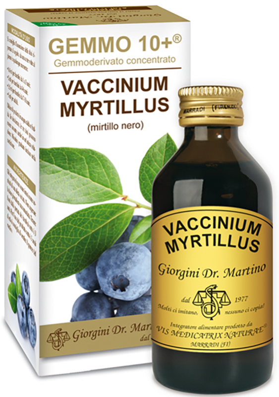 GEMMO 10+ GEMMODERIVATO CONCENTRATO VACCINIUM MYRTILLUS MIRTILLO NERO SENZA ALCOOL 100 ML - UniversoFarmacie.it