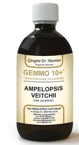 GEMMO 10+ GEMMODERIVATO CONCENTRATO LIQUIDO ANALCOLICO AMPELOPSIS VEITCHI VITE CANADESE 500 ML - UniversoFarmacie.it