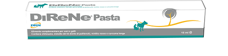 DIRENE PASTA 15 ML - UniversoFarmacie.it