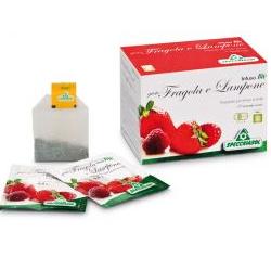 INFUSO BIO FRAGOLA E LAMPONE 20 FILTRI - UniversoFarmacie.it