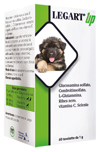 LEGART UP 60 COMPRESSE DA 1 G - UniversoFarmacie.it