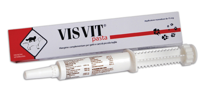 VISVIT PASTA OS SIRINGA 15 G - UniversoFarmacie.it