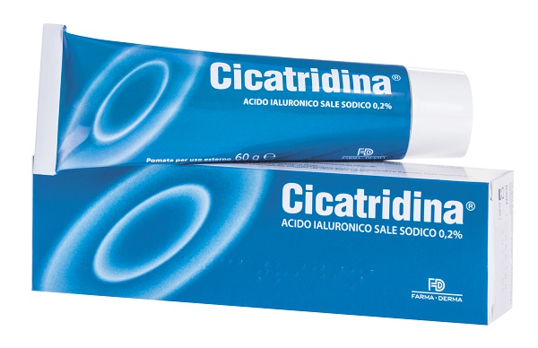 CICATRIDINA POMATA 60 G - UniversoFarmacie.it