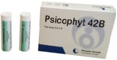 PSICOPHYT REMEDY 42B 4 TUBI 1,2G - UniversoFarmacie.it