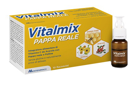 VITALMIX PAPPA REALE 10FLACONCINI X10 ML S/GL - UniversoFarmacie.it