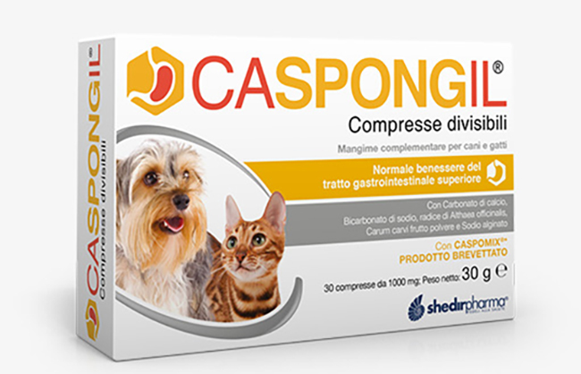 CASPONGIL 30 COMPRESSE DIVISIBILI - UniversoFarmacie.it