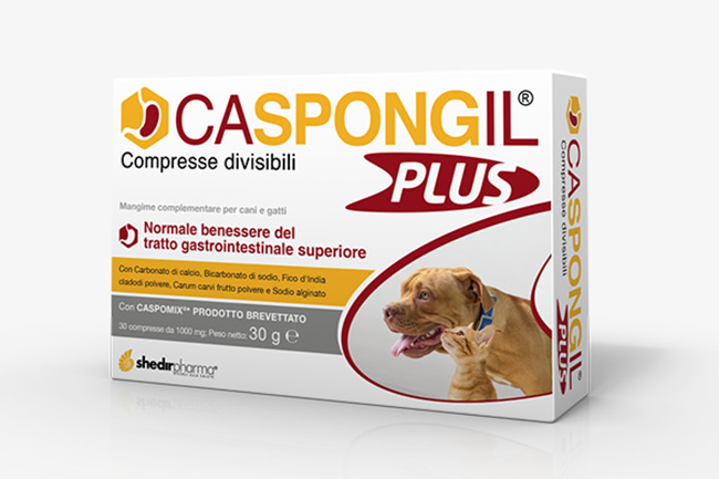 CASPONGIL PLUS 30 COMPRESSE - UniversoFarmacie.it