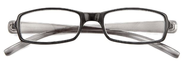 OCCHIALE DA LETTURA PREMONTATO TWINS SILVER DOUBLE +1,00 - UniversoFarmacie.it