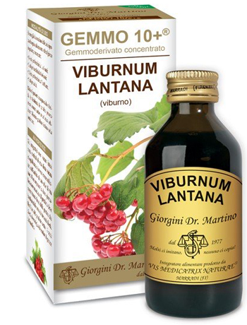 VIBURNO LIQUIDO ANALCOLICO GEMMO 10+ 100 ML - UniversoFarmacie.it