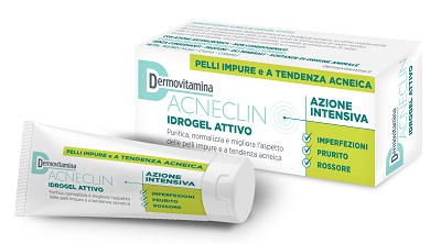 DERMOVITAMINA ACNECLIN IDROGEL ATTIVO AZIONE INTENSIVA 40 ML - UniversoFarmacie.it