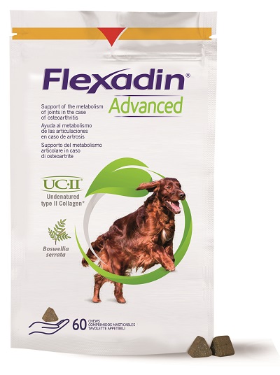 FLEXADIN ADVANCED CANE TUTTE LE TAGLIE 60 TAVOLETTE APPETIBILI - UniversoFarmacie.it