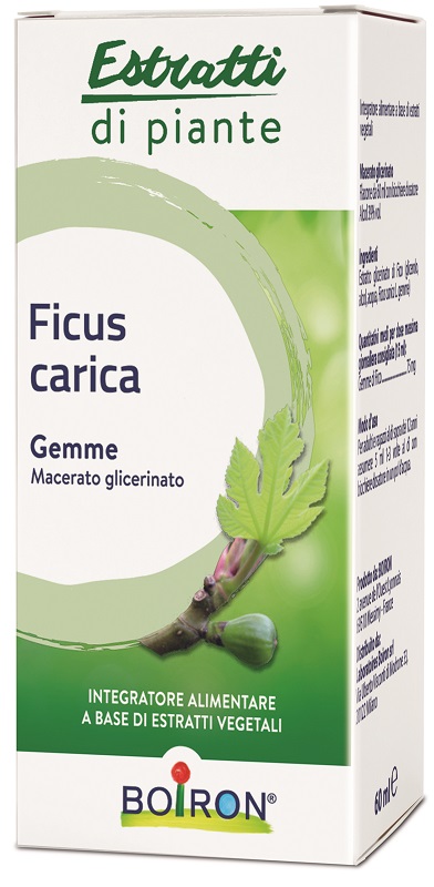 FICUS CARICA BOIRON MACERATO GLICERICO 60 ML - UniversoFarmacie.it
