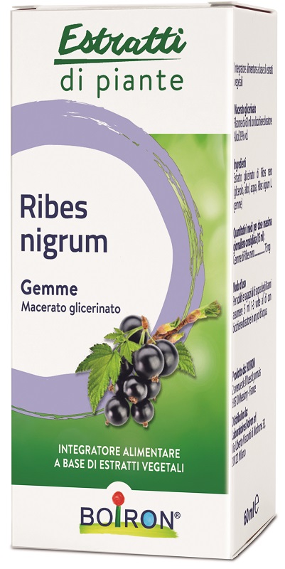 RIBES NIGRUM BOIRON MACERATO GLICERICO 60 ML - UniversoFarmacie.it