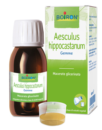 AESCULUS HIPP BOIRON MACERATO GLICERICO 60 ML - UniversoFarmacie.it