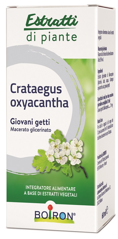 CRATAEGUS BOIRON MACERATO GLICERICO 60 ML - UniversoFarmacie.it