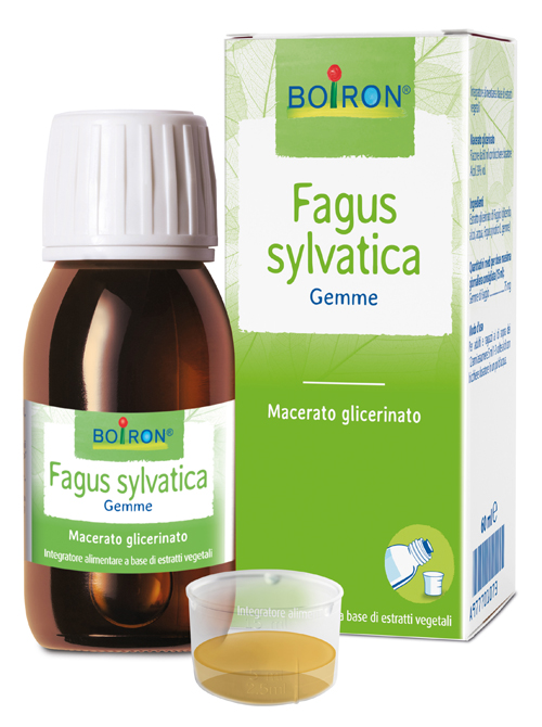 FAGUS SYLVATICA BOIRON MACERATO GLICERICO 60 ML - UniversoFarmacie.it