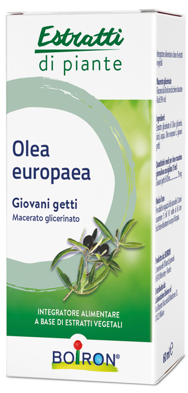 OLEA EUROPAEA BOIRON MACERATO GLICERICO 60 ML - UniversoFarmacie.it