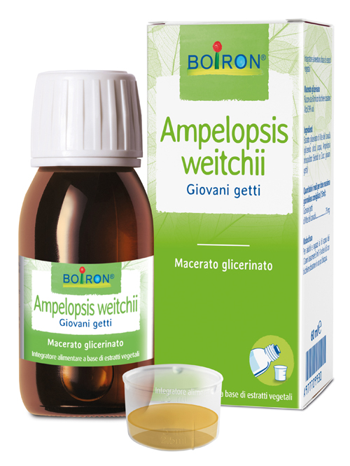 AMPELOPSIS WESTRATTO IDROALCOLICO BOIRON MACERATO GLICERICO 60 ML - UniversoFarmacie.it