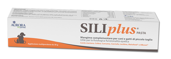 SILIPLUS PASTA 30 G - UniversoFarmacie.it