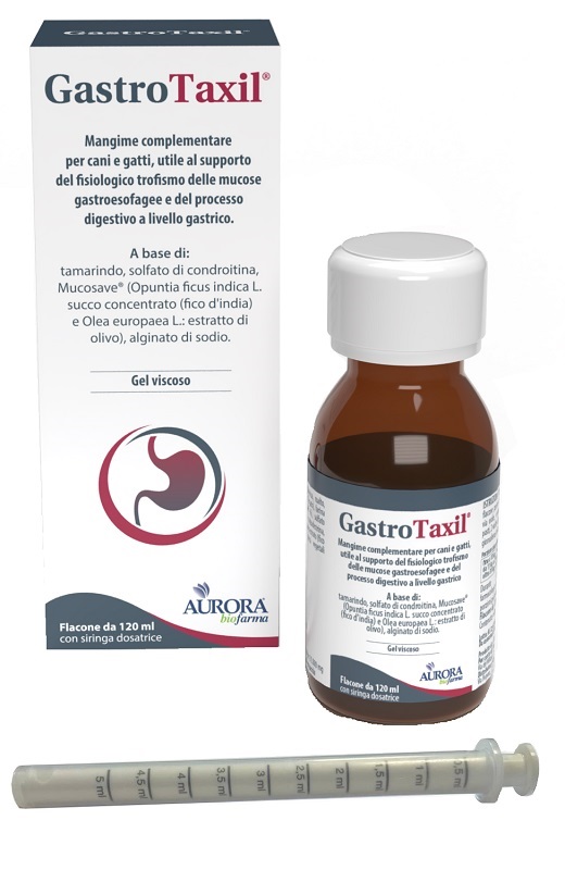 GASTROTAXIL 120 ML - UniversoFarmacie.it
